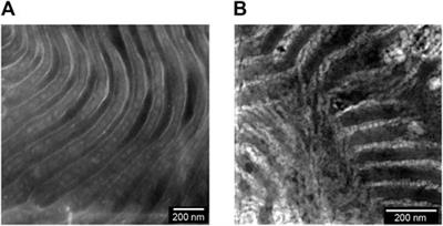 Cycling of block copolymer composites with lithium-conducting ceramic nanoparticles